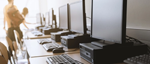 Trusted_Pest_Control_IT industry